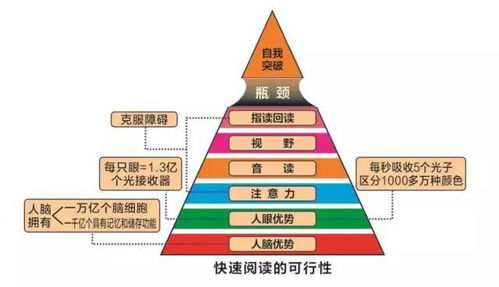 北京大成学能教育咨询公司 教育咨询的专业之道